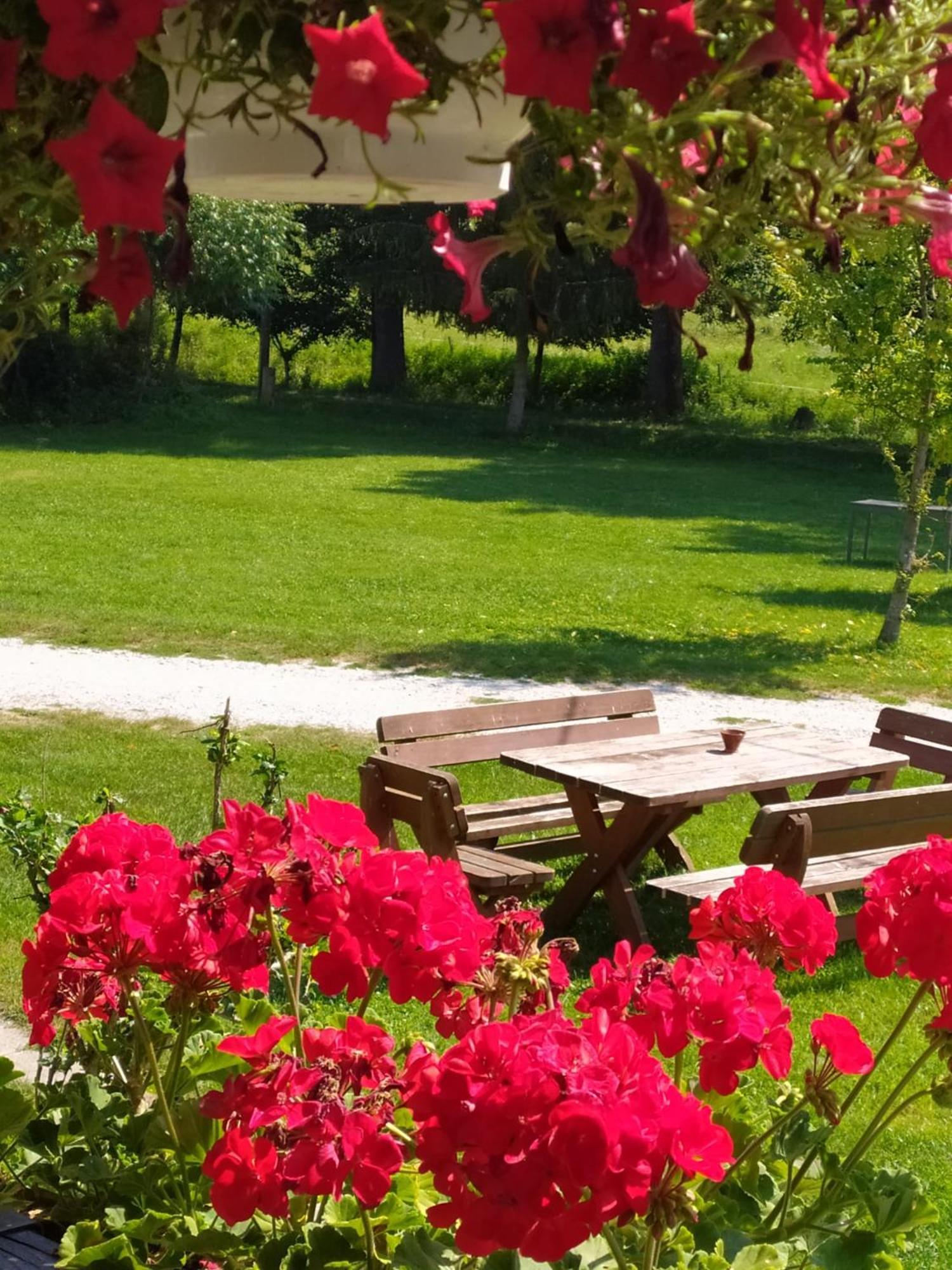 Panzió-Kemping Bekölce Bekolce Bagian luar foto